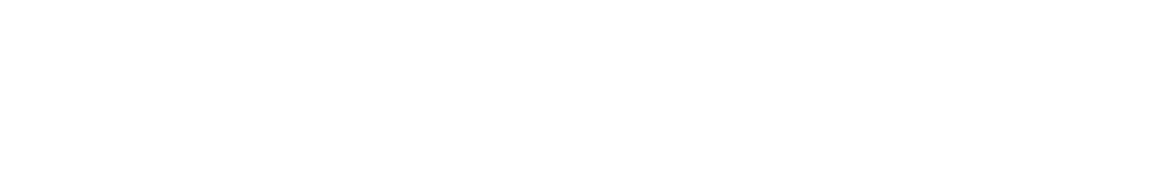 Vantage Asset Management